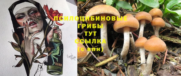 стафф Заволжск