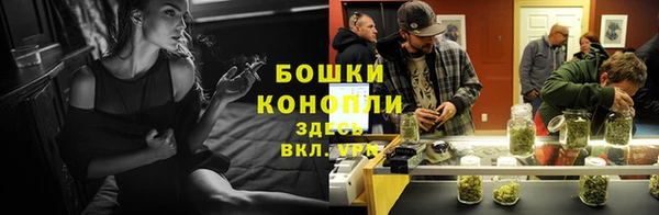 стафф Заволжск