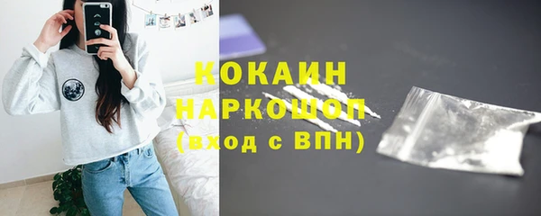 скорость Ельня