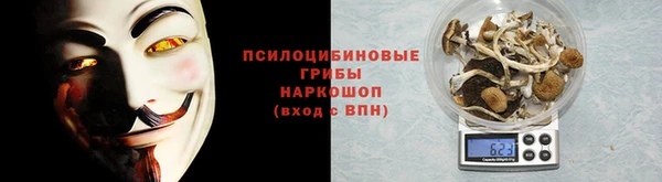 крисы Елабуга