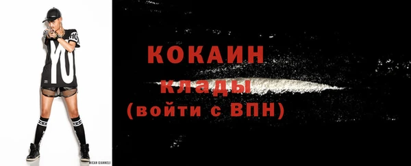 дурь Заводоуковск