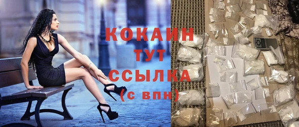 крисы Елабуга