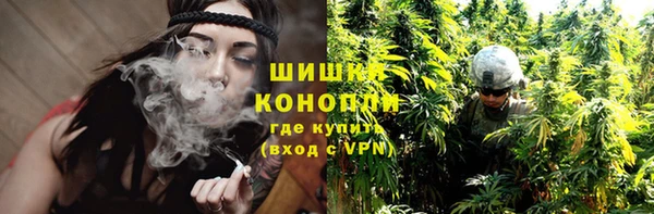 скорость Ельня