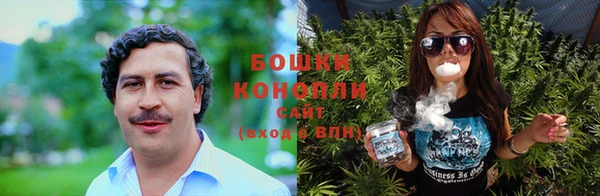 стафф Заволжск