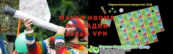 крисы Елабуга