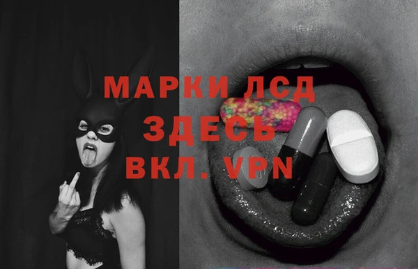 стафф Заволжск