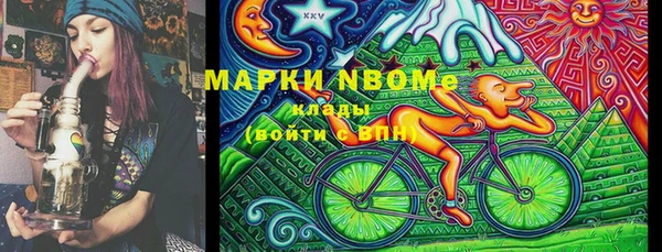 крисы Елабуга