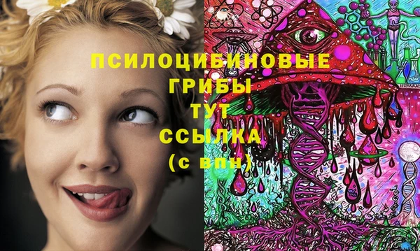 крисы Елабуга