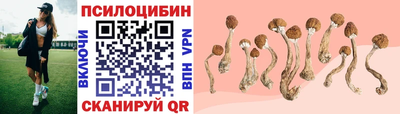 Галлюциногенные грибы MAGIC MUSHROOMS  Курск 
